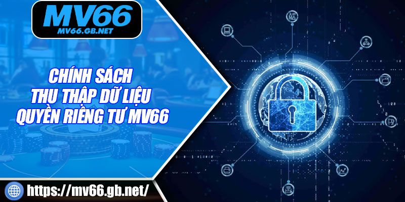Chính sách thu thập dữ liệu quyền riêng tư MV66