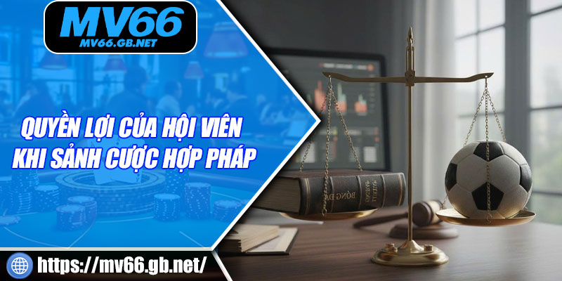 Quyền lợi của hội viên khi sảnh cược hợp pháp